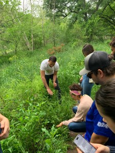 Texas Foraging Video Foraging Walk – East Austin TX | Nov 22nd, 2025 – Paleo Foraging